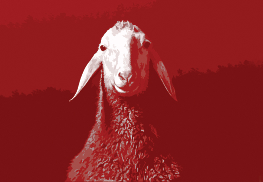 Review: Spring Offensive at Clapham Omnibus Spring Offensive Sheep