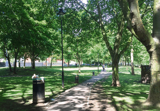 trees letter
