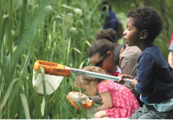 Camley Street Pond dipping