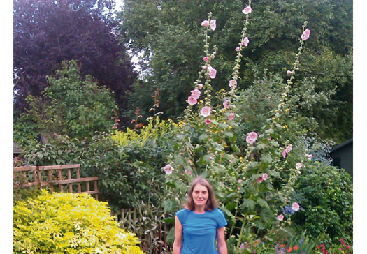 The mighty hollyhocks hollhocks