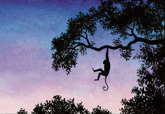 Zoo where monkeys can feel at home monkey cartoon
