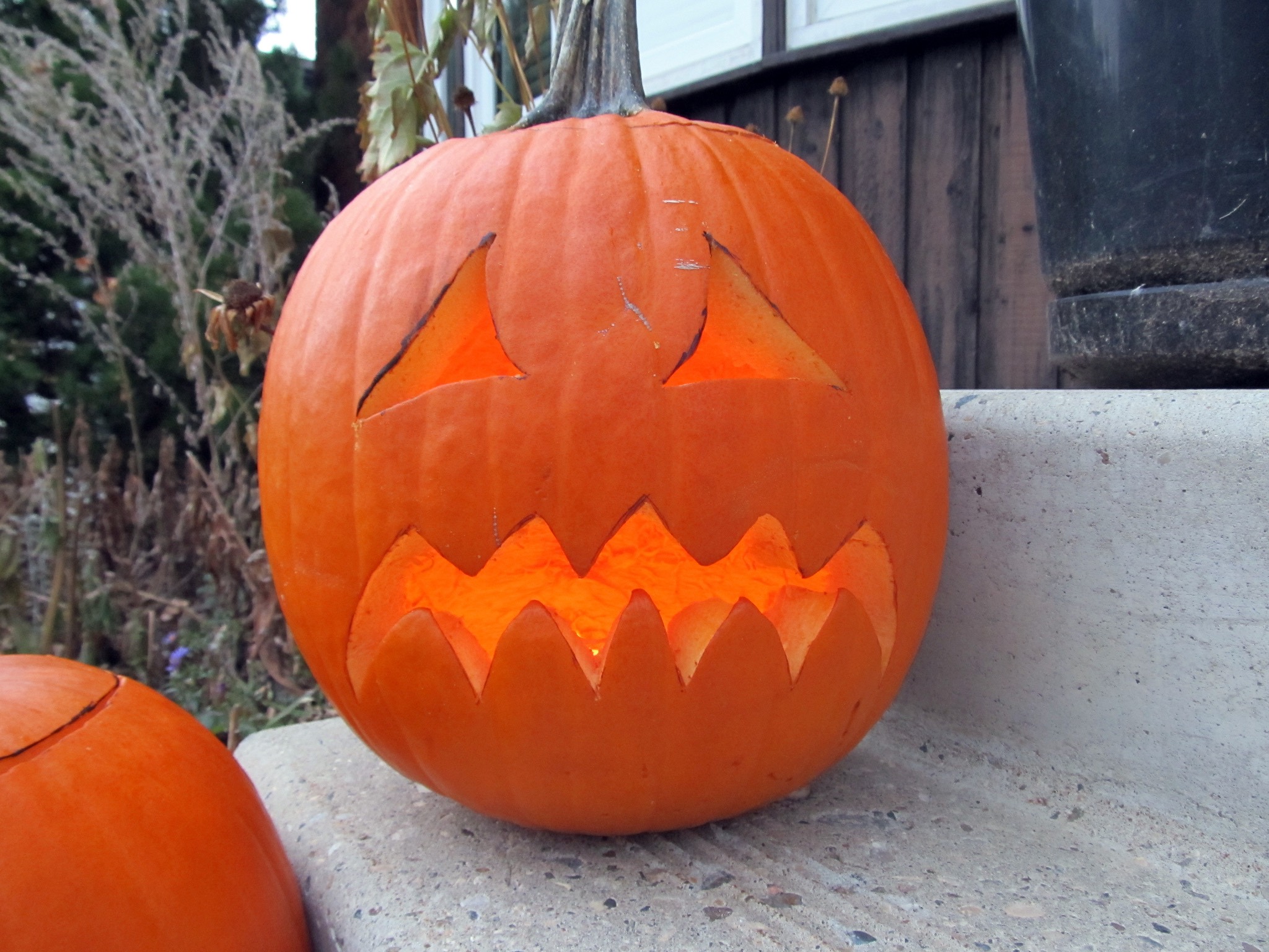Hallowe’en is not for me pumpkin credit: Daryl Mtchell