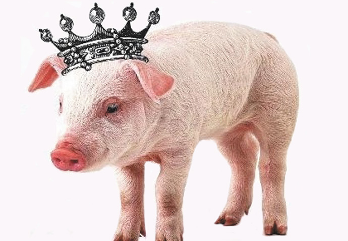 Hampstead Garden Opera enchants with Jonathan Dove’s opera for all ages The Enchanted Pig