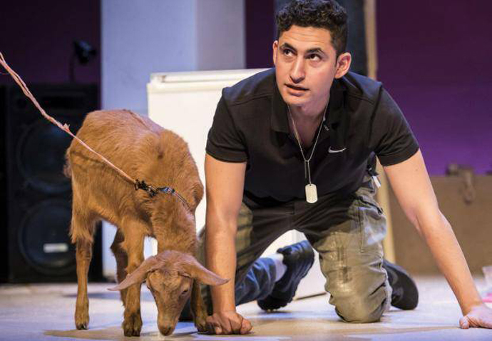 Review: Goats, at Royal Court Theatre Goats