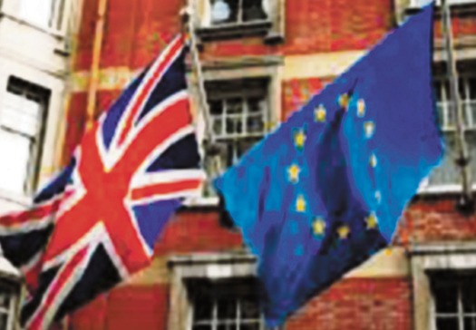 Now for a Northern Ireland referendum flags