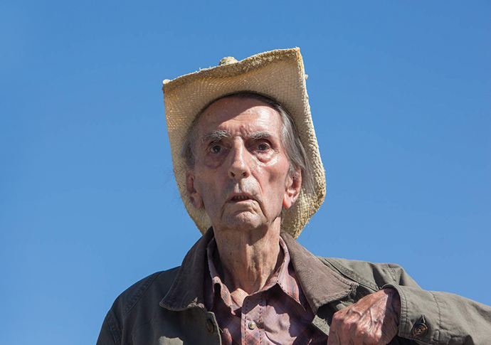 Harry Dean Stanton in Lucky