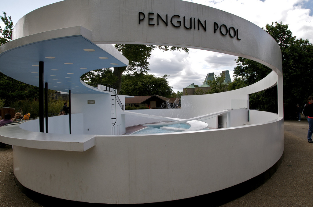 Penguin Pool CREDIT: David Hastings