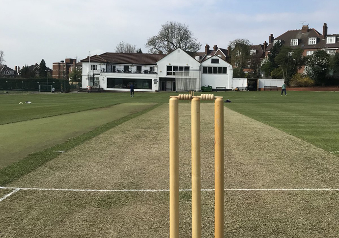 Hampstead Cricket Twitter