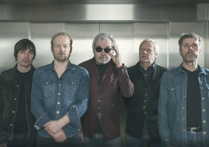The Analogues
