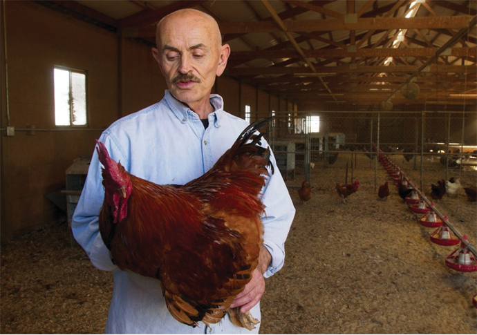 Eating Animals: time to kick the buckets? Eating animals