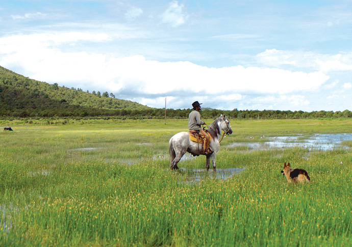 Our Time: Western approaches Our Time Losange 8