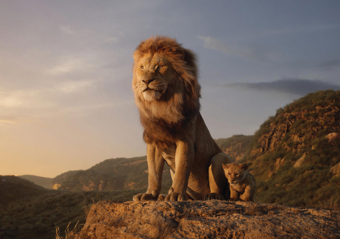 Missing the mane chance The Lion King the Lion King