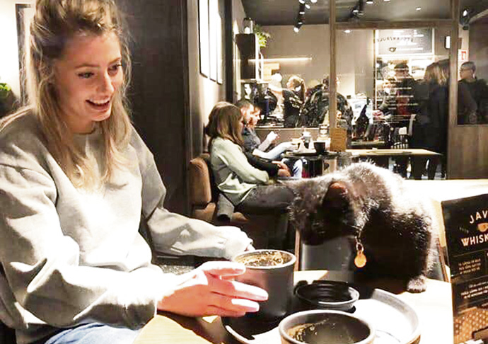 cat cafe1