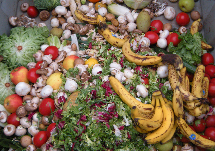 We must cut food waste and help feed those facing starvation Food waste