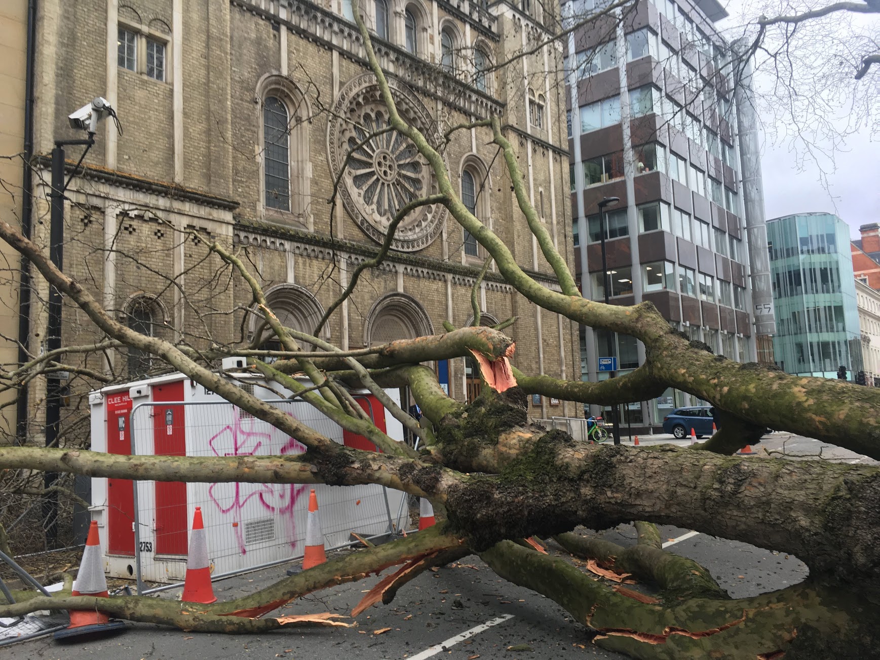 Massive tree falls blocking entrance to Bloomsbury Baptist Church IMG_1908