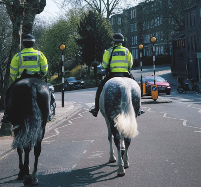 MPS Camden police horses