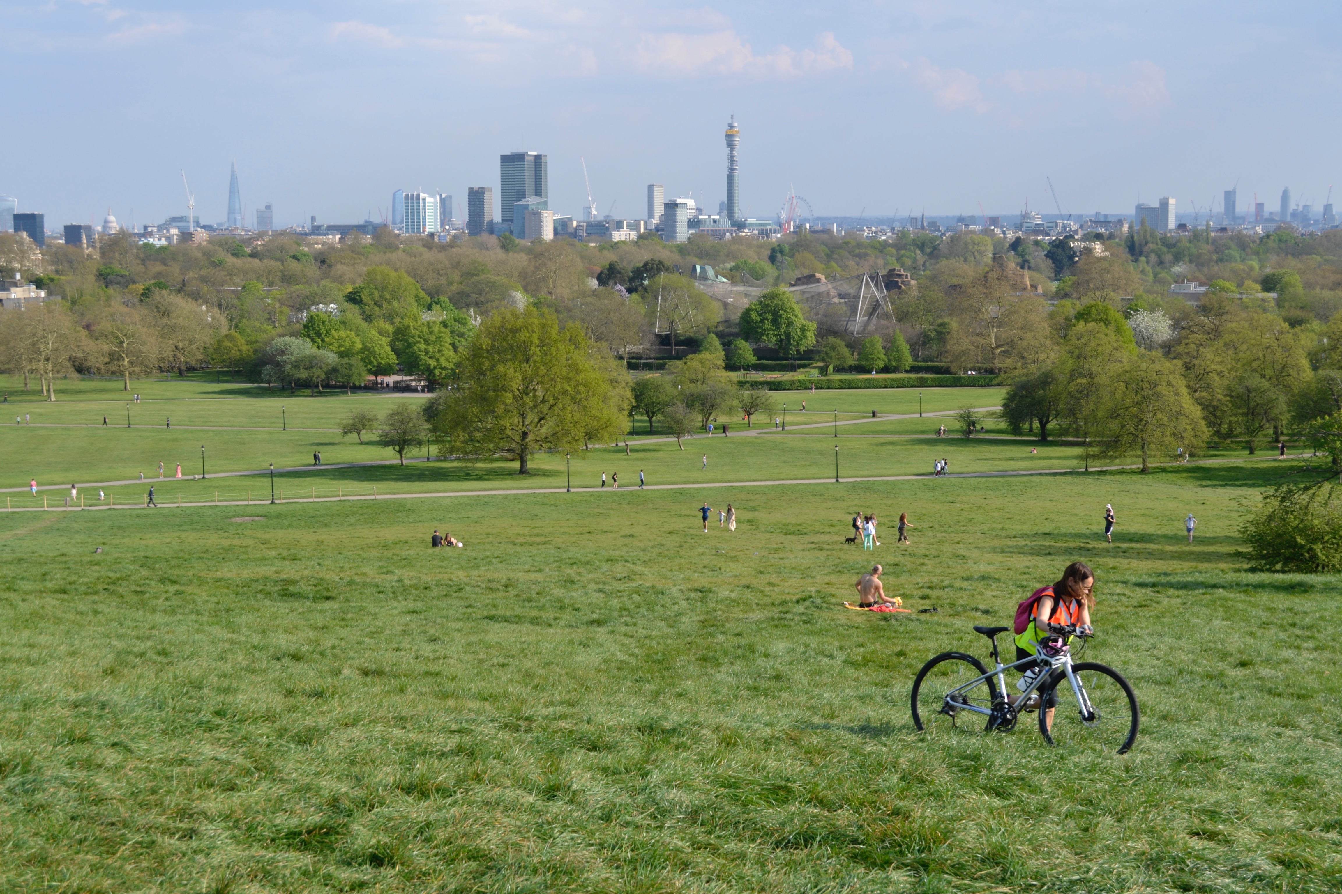 primrose-hill