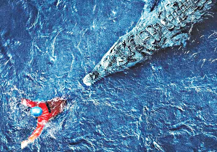 Croc star! Snappy silliness in Black Water: Abyss Black water Abyss
