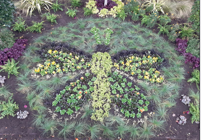 Check out the park butterfly Butterfly garden plants