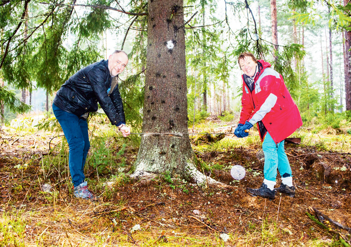 Christmas tree norway people