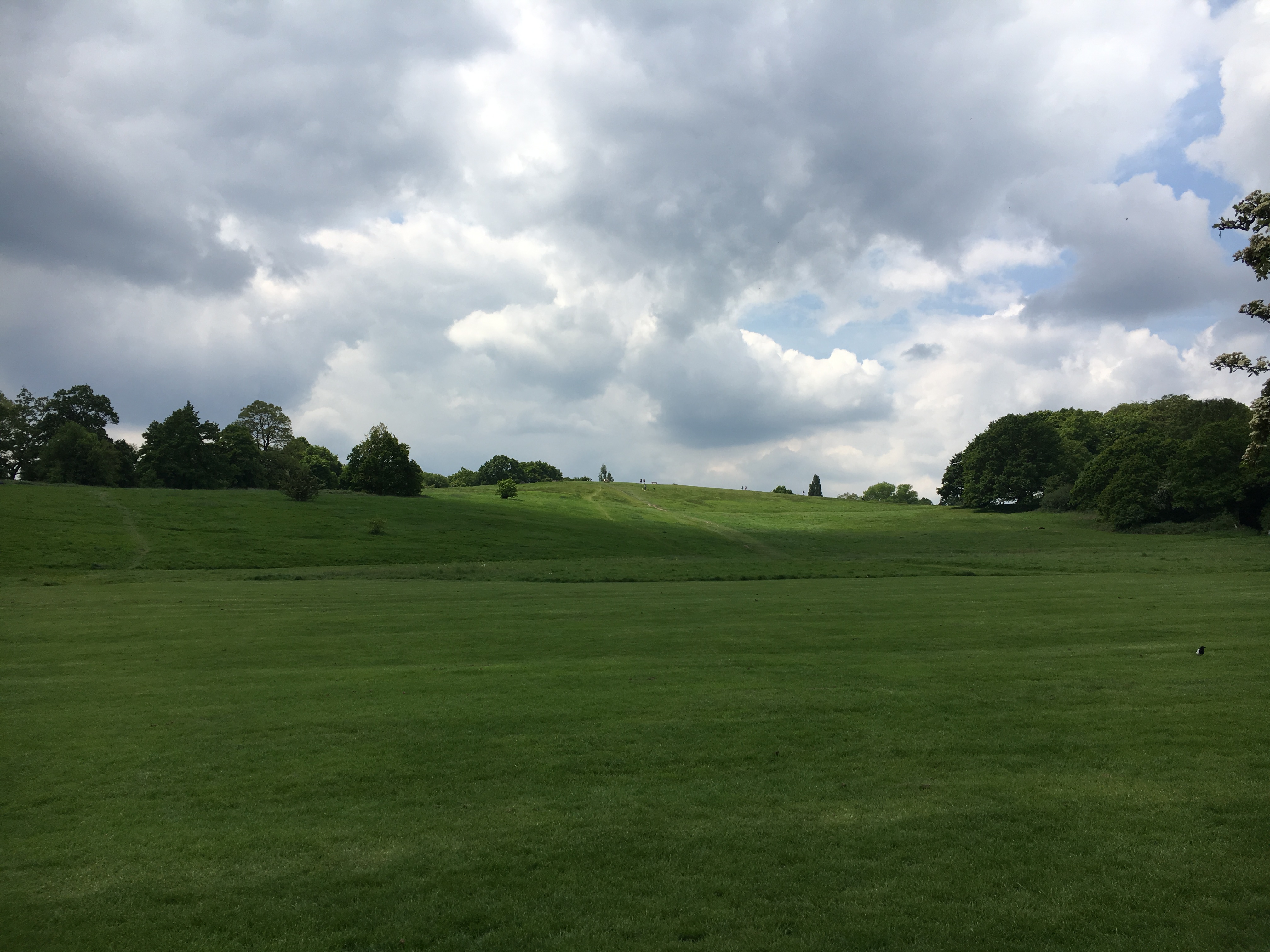 Hampstead Heath