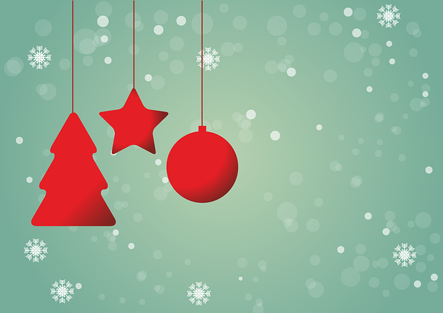 Christmas… it’s only just begun! christmas-1869533_640
