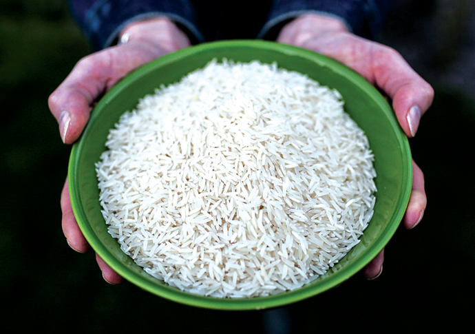 Rice