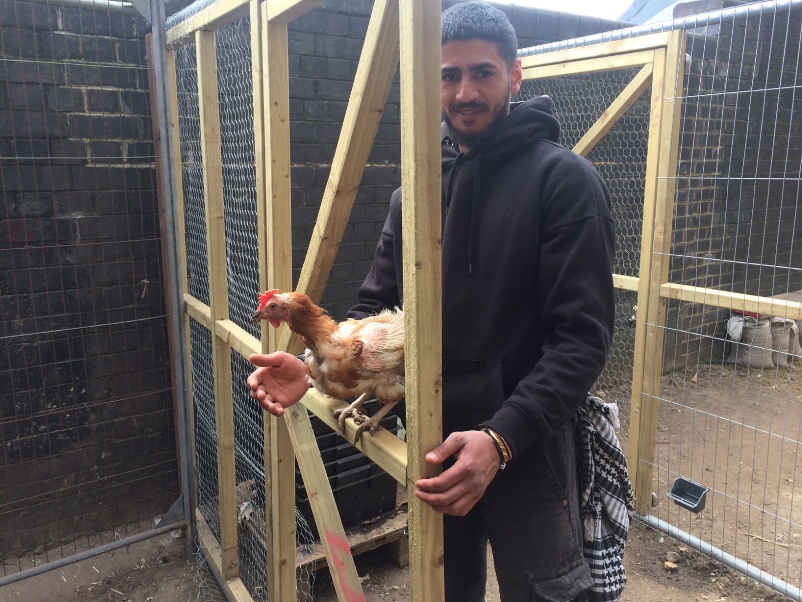 Let our chickens stay, says man who built coop behind station