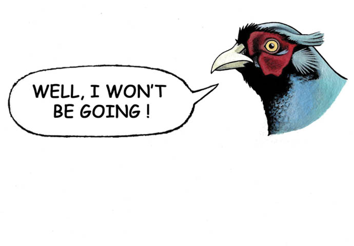 Game bird cartoon with speech