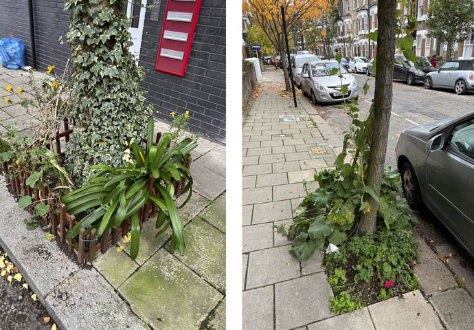 We need a new approach for cleaner streets Tree planting