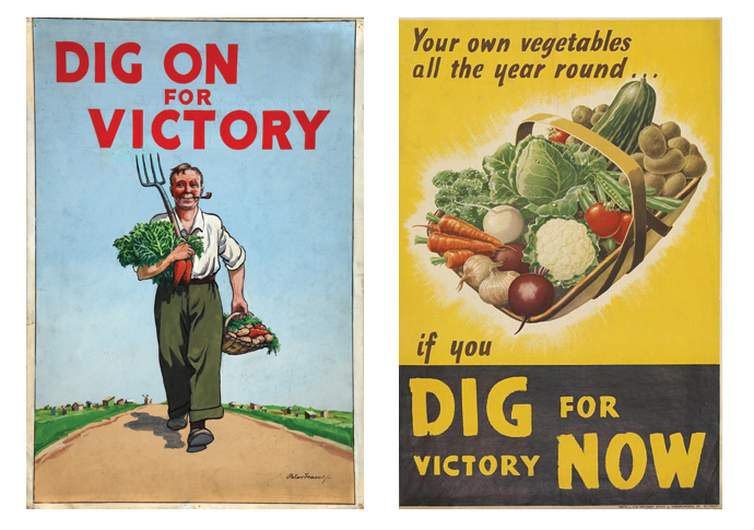 Plot lines: the lessons of ‘Dig for Victory’ Dig