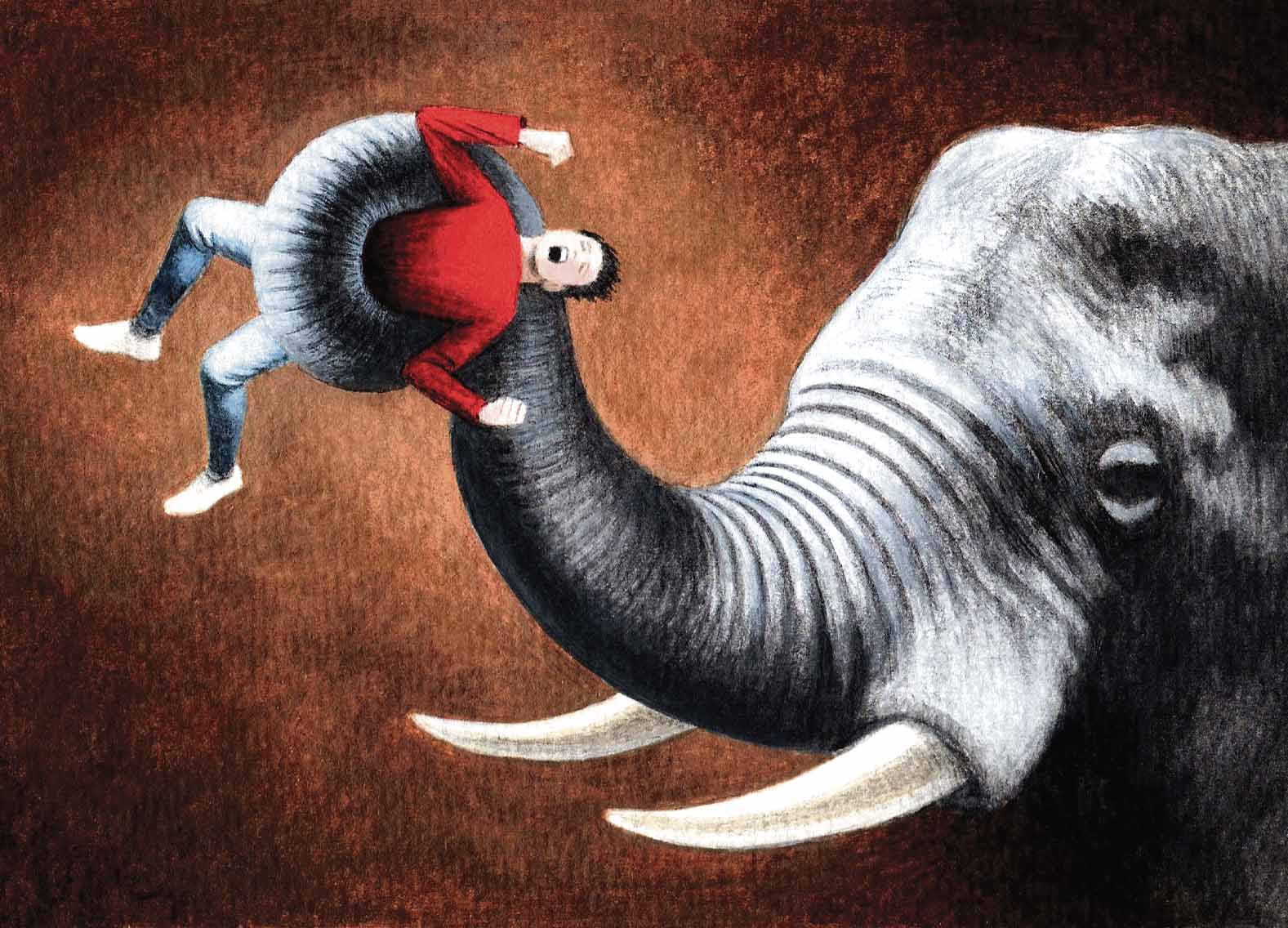 Opportunity knocks for the Jumbo Escort company… Elephant Security_John Sadler