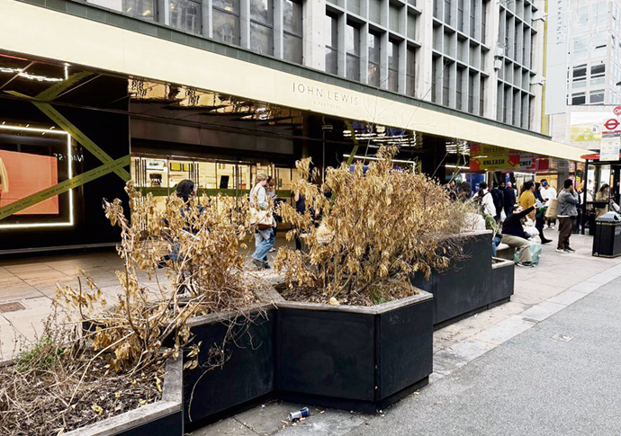‘Mayor stops Oxford Street traffic, but not plants dying’ Oxford Street plants